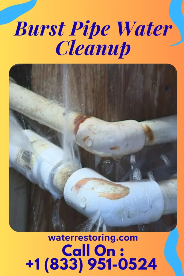 Burst Pipe Water Cleanup in Cordova, NE